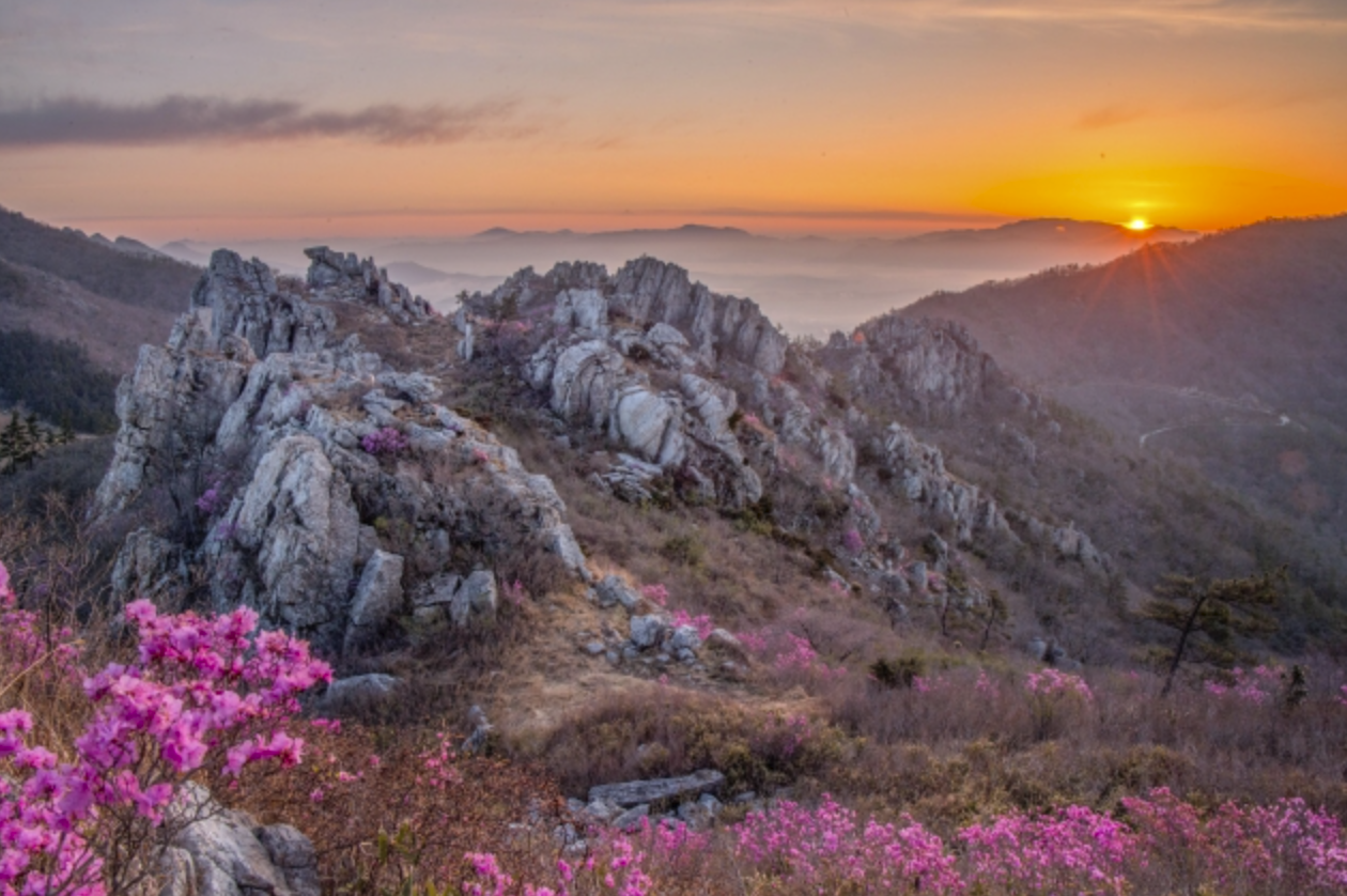 주작산